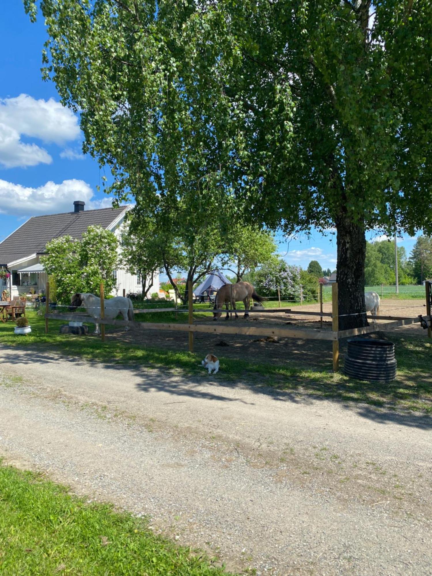 Sundby Fjordhestgard Villa Garder Buitenkant foto