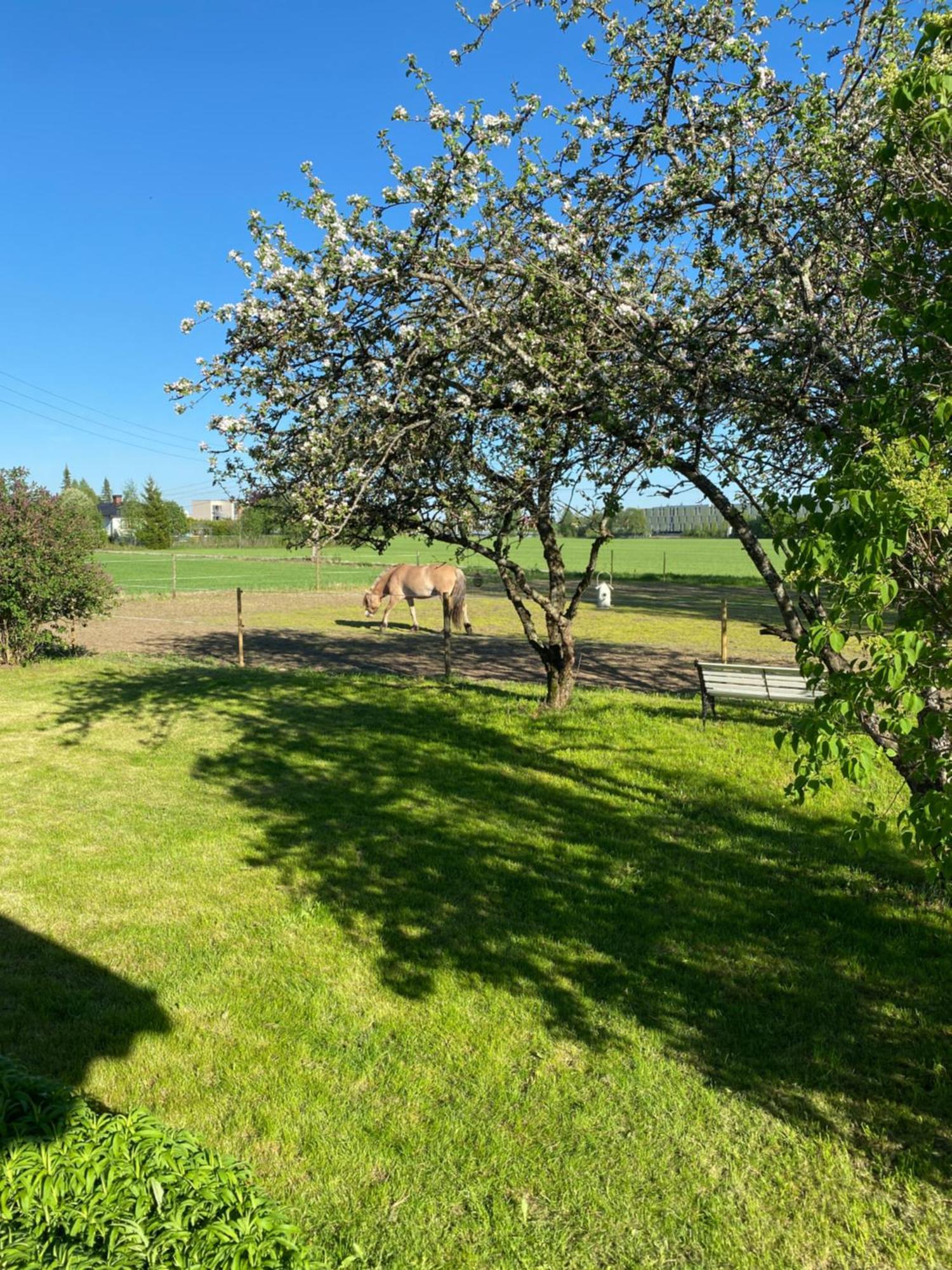 Sundby Fjordhestgard Villa Garder Buitenkant foto